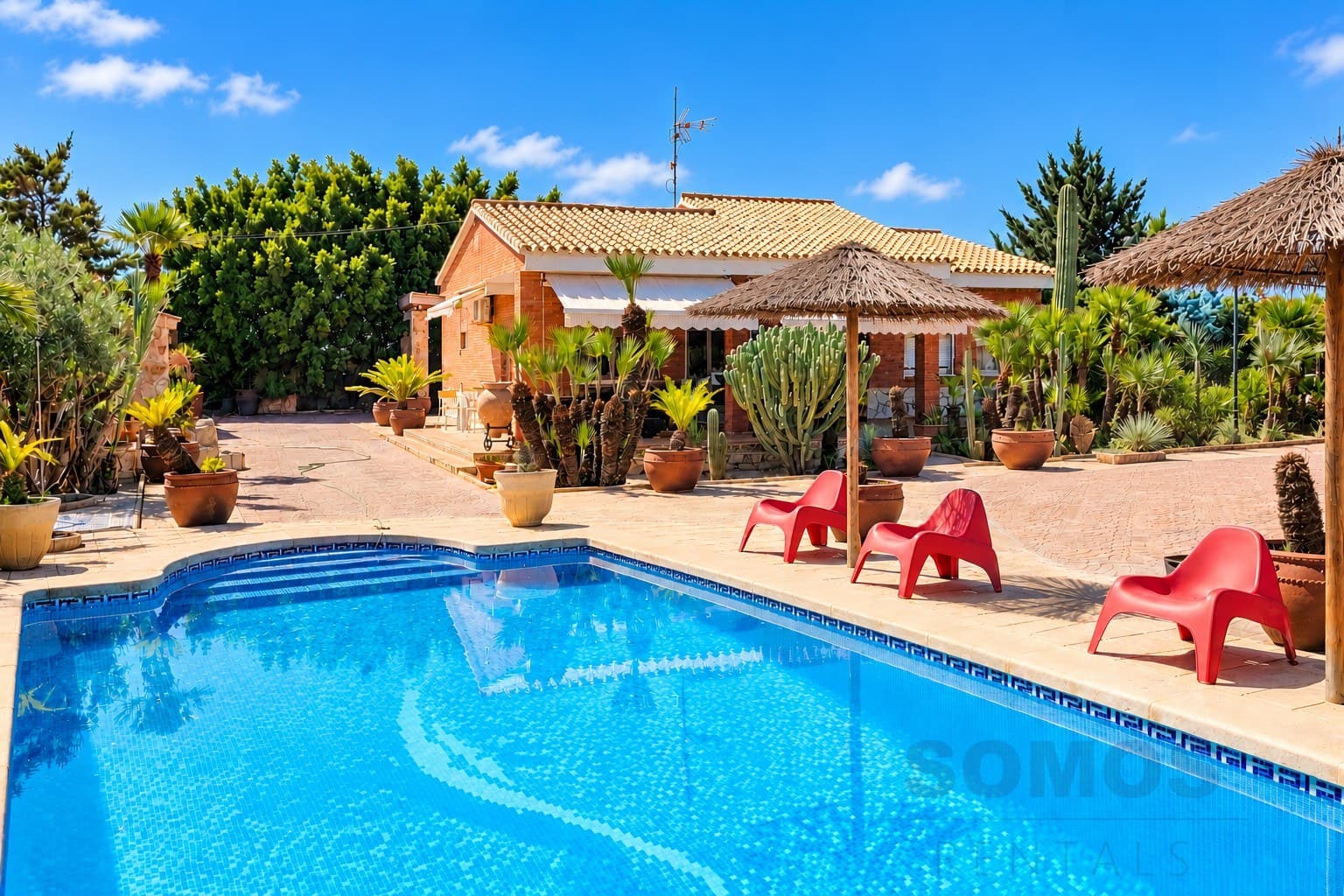 Villa Cactuario, El Altet — foto 1