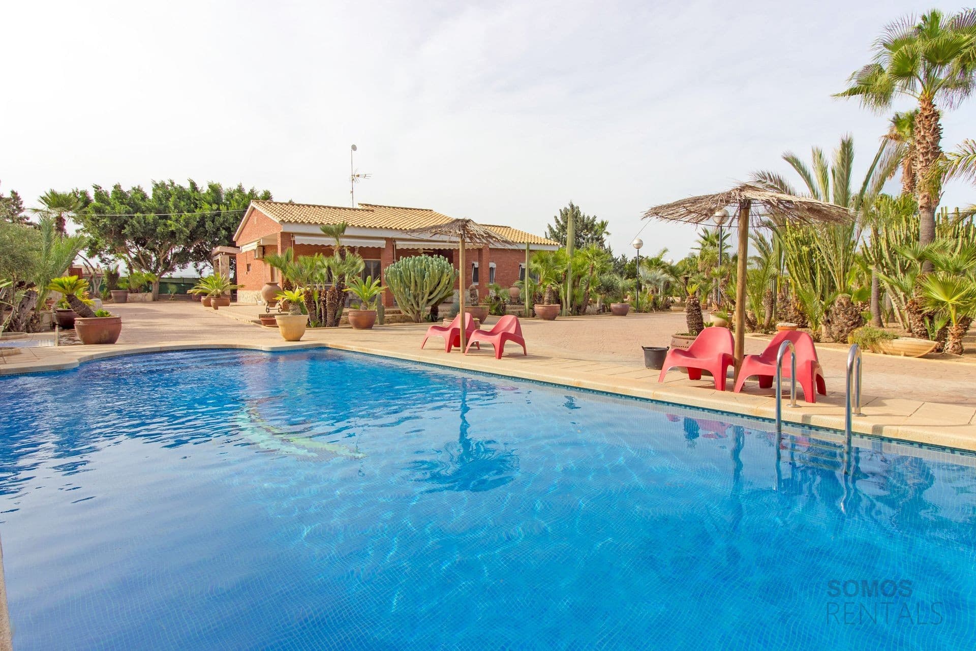 Abgebildete Immobilie: Villa Cactuario — El Altet