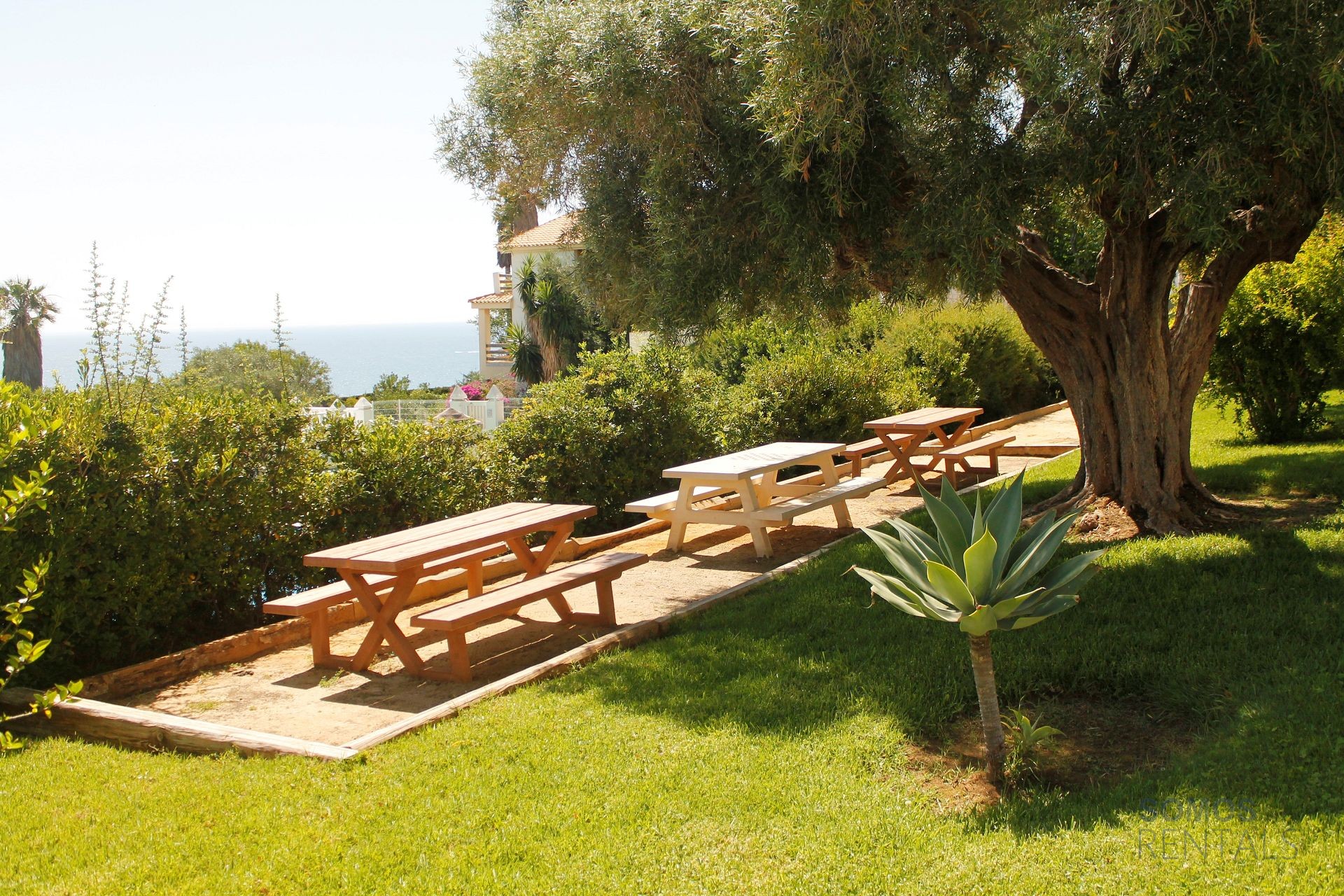 Casa Cherie, Gran Alacant — fotografía 5