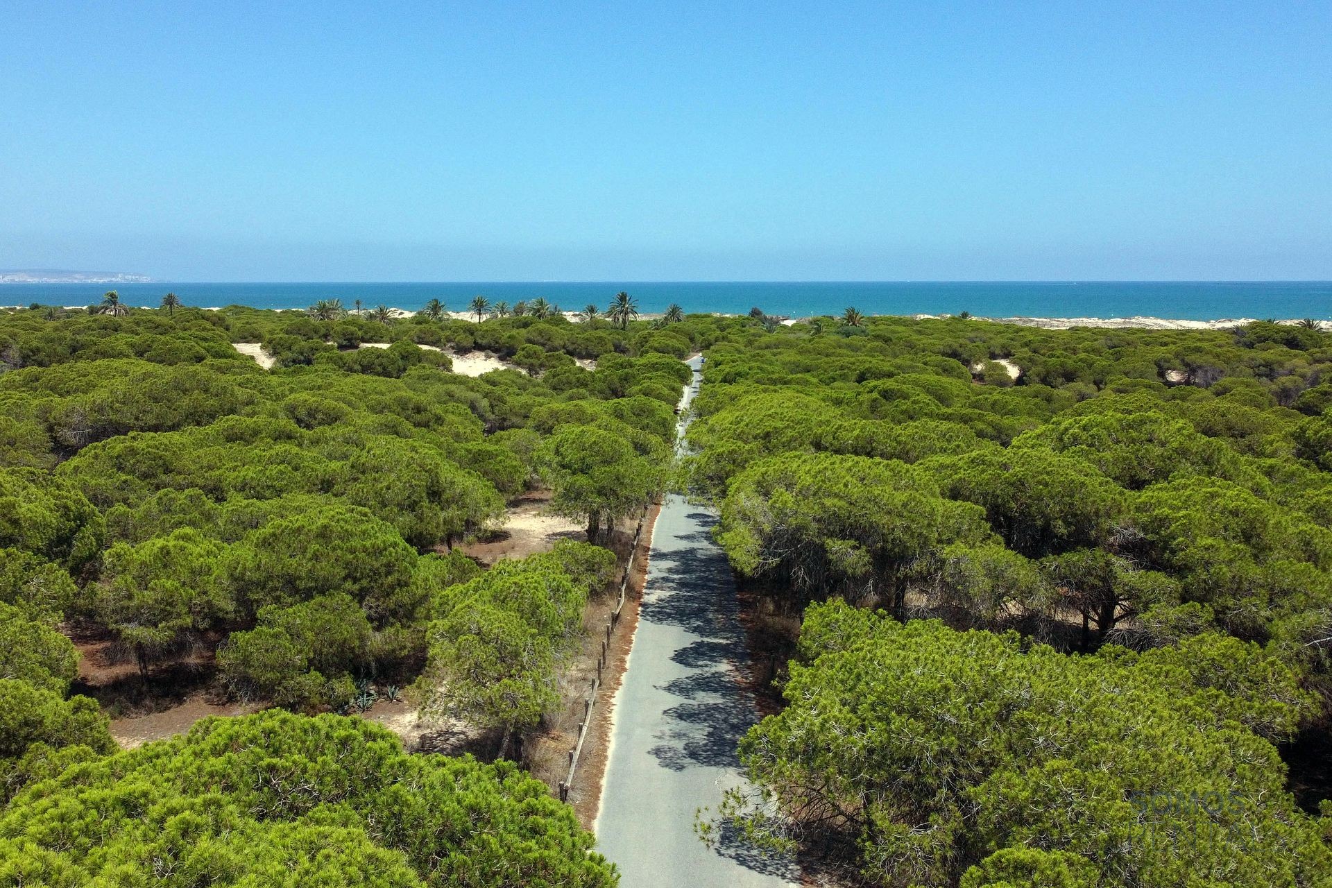 Villa Azul - Urb La Marina photograph 39