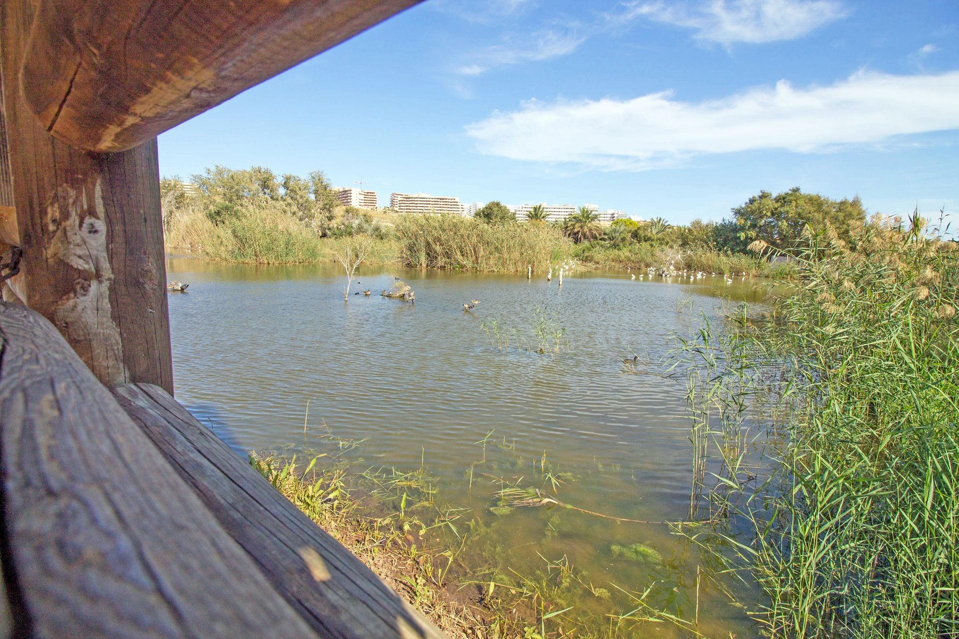 Casa Jardin Salamandra, Gran Alacant — photographie 68