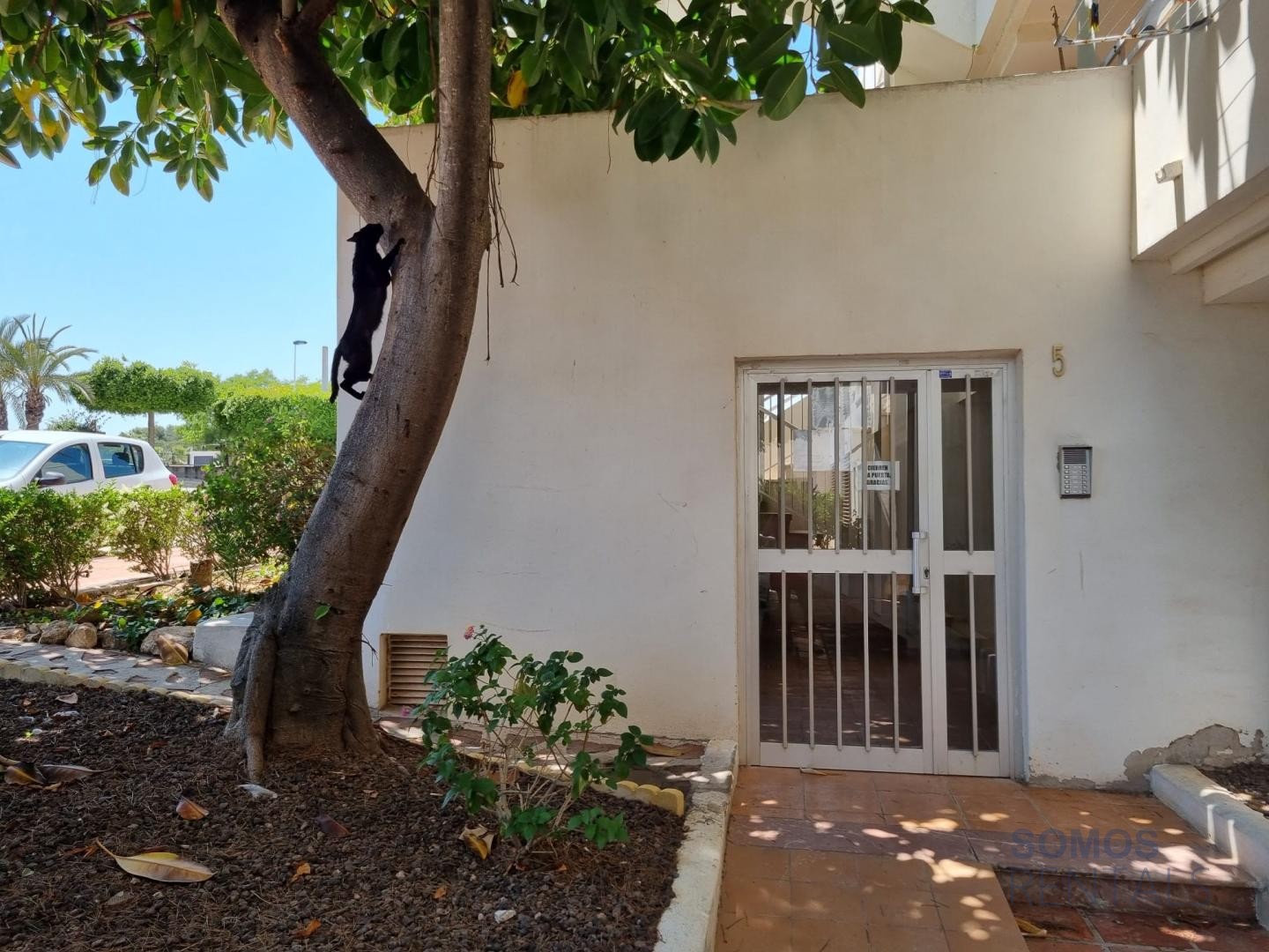 Apartamento Blue Skies, GRAN ALACANT — foto 34